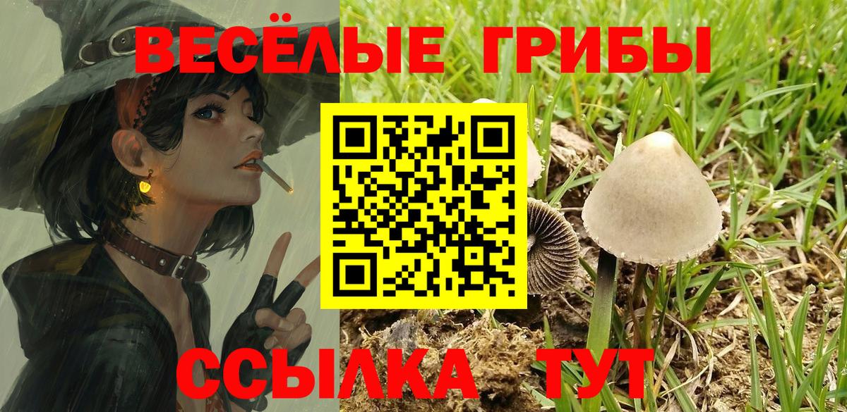 Псилоцибиновые грибы Psilocybe  Галлюциногенные грибы MAGIC MUSHROOMS  Курчалой  Вход с VPN 
